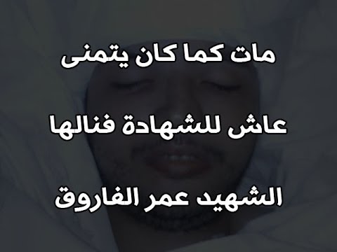 حكمة الدعوة الشيخ رفاعي سرور