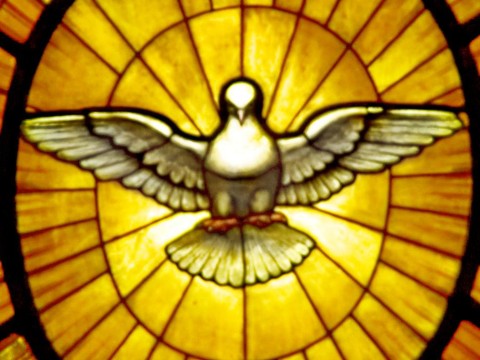 Gian_Lorenzo_Bernini_-_Dove_of_the_Holy_Spirit (1)