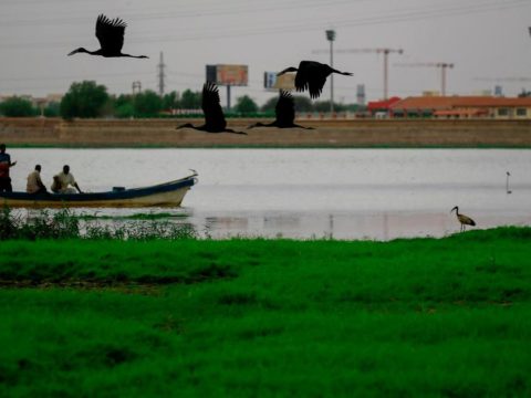 نهر النيل - أزمة سد النهضة - أزمة مصر وأثيوبيا - السودان - قناة جونجلي - الجبهة السلفية - خالد سعيد - مياه الأمطار